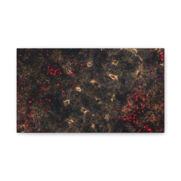 neuroepithelium print - Image 8