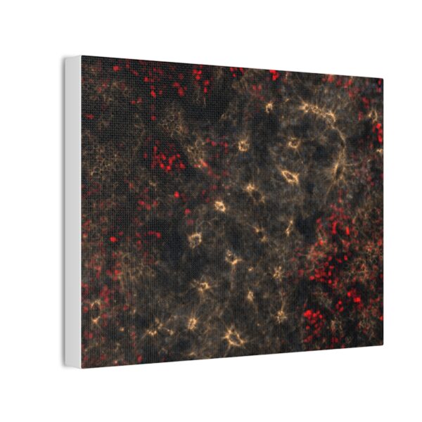 neuroepithelium print - Image 5