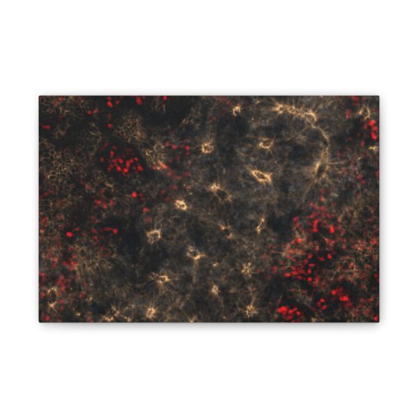 neuroepithelium print - Image 6