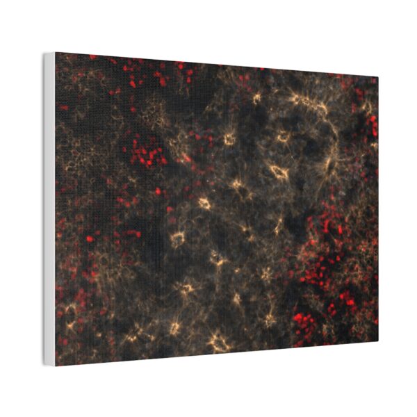 neuroepithelium print - Image 11