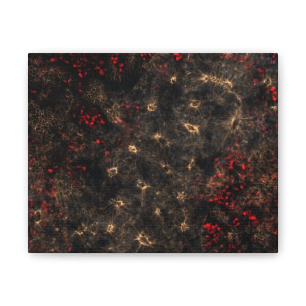 neuroepithelium print - Image 4