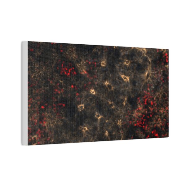 neuroepithelium print - Image 9
