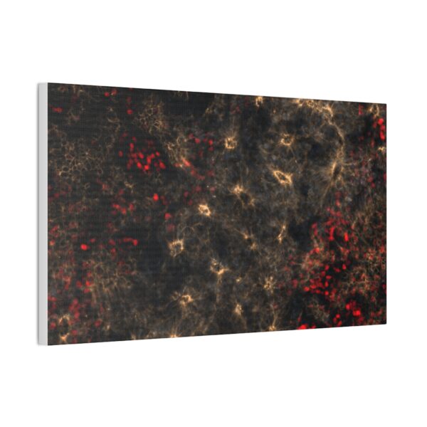 neuroepithelium print - Image 3