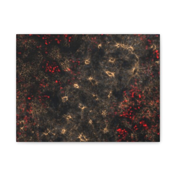 neuroepithelium print - Image 10
