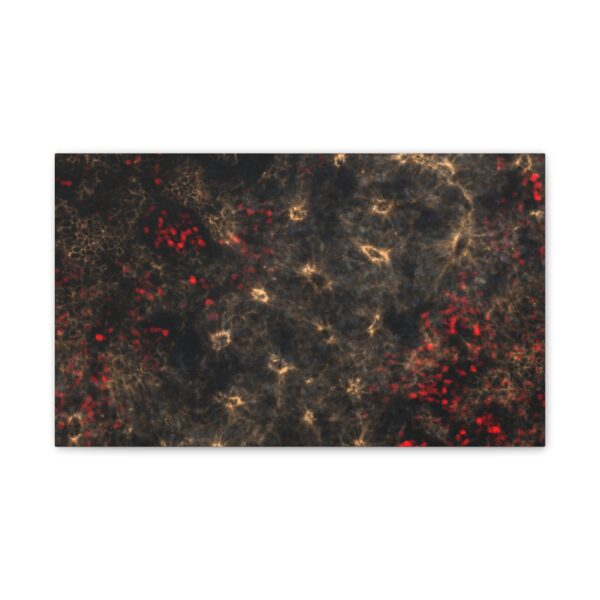 neuroepithelium print - Image 2