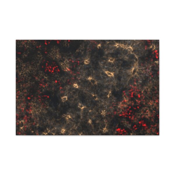 neuroepithelium print - Image 12