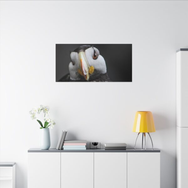 nico's puffin print - Image 20