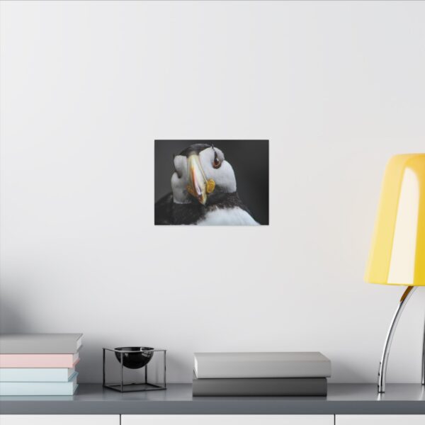 nico's puffin print - Image 4