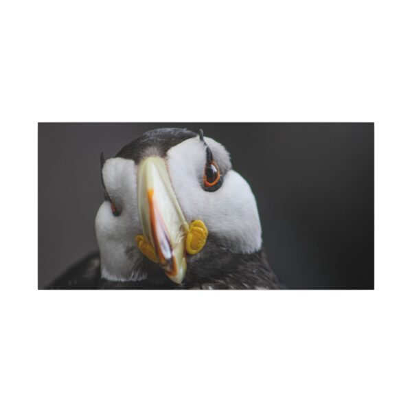 nico's puffin print - Image 17