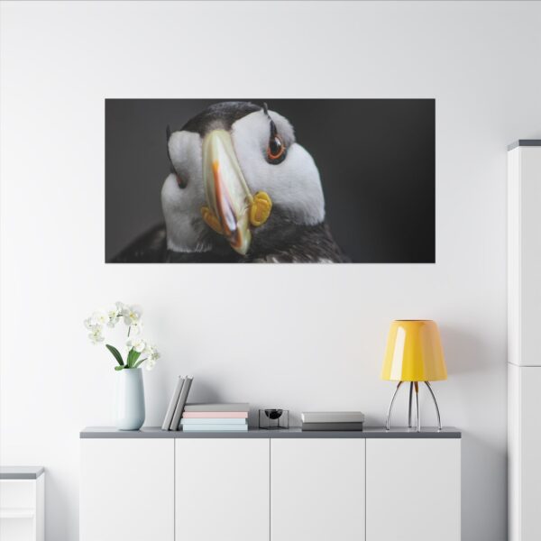 nico's puffin print - Image 16