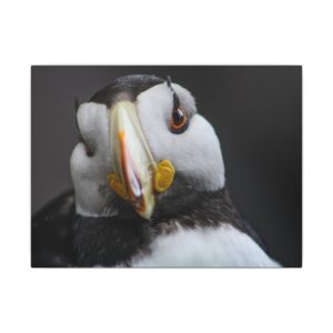 nico's puffin print