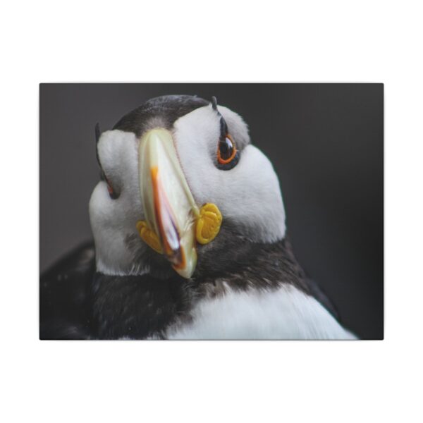 nico's puffin print