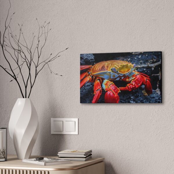 nico's graspus graspus print - Image 8