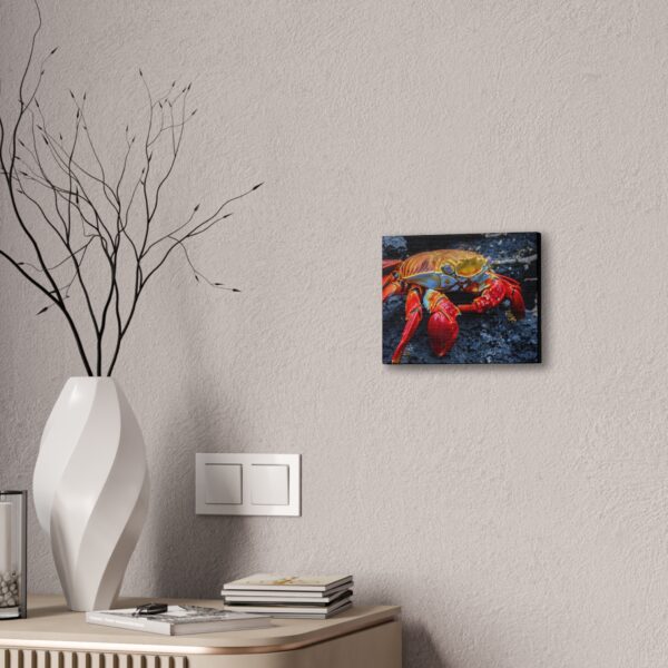nico's graspus graspus print - Image 4