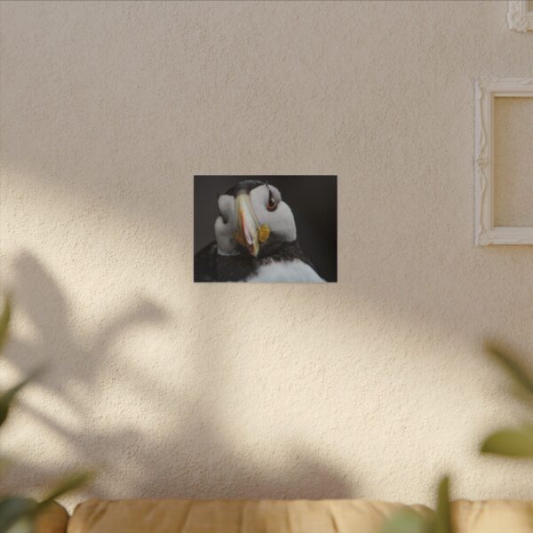 nico's puffin print - Image 3