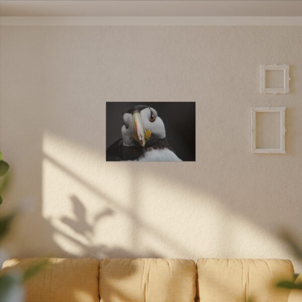 nico's puffin print - Image 7