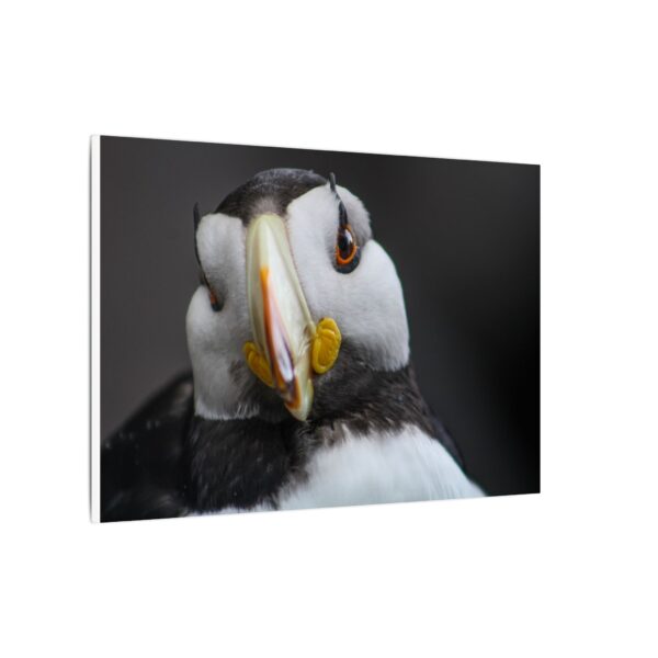 nico's puffin print - Image 10