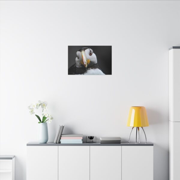 nico's puffin print - Image 12