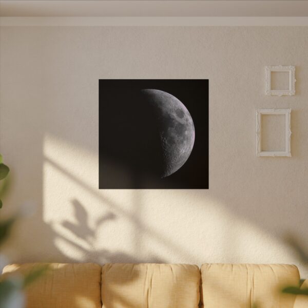 kevin cohn's moon print - Image 15