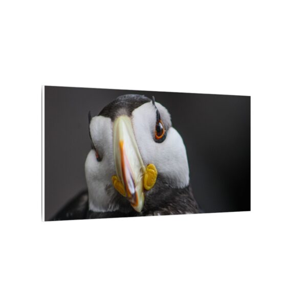 nico's puffin print - Image 18