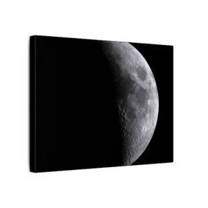 kevin cohn's moon print