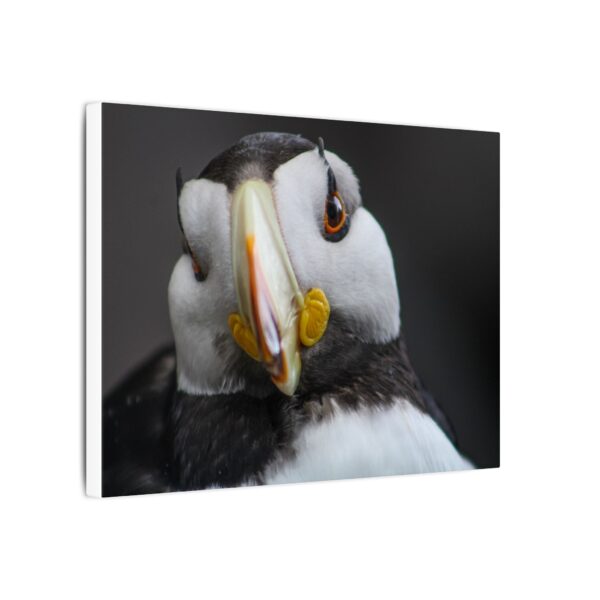 nico's puffin print - Image 2