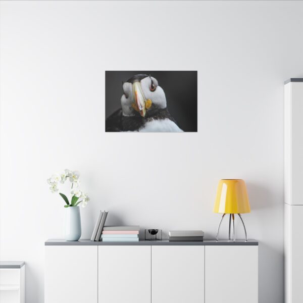 nico's puffin print - Image 8