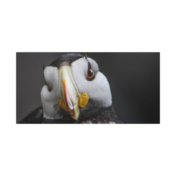 nico's puffin print - Image 13